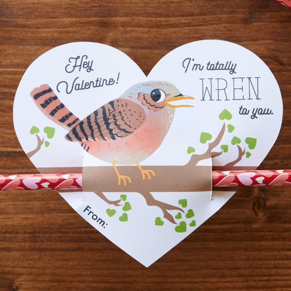 Wren Birding Valentine Cards