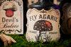 Printable Apothecary Labels - Halloween bottle decor - Poisonous Mushrooms - vintage style, hand drawn illustrations - instant download