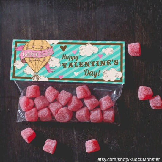 Printable treat topper valentine's day vintage hot air balloon illustration Valentines Classroom candy bag print at home INSTANT DOWNLOAD