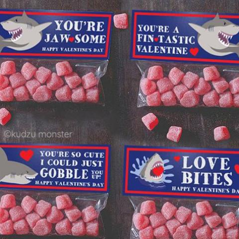 Shark Valentine Treat Topper Combo Pack