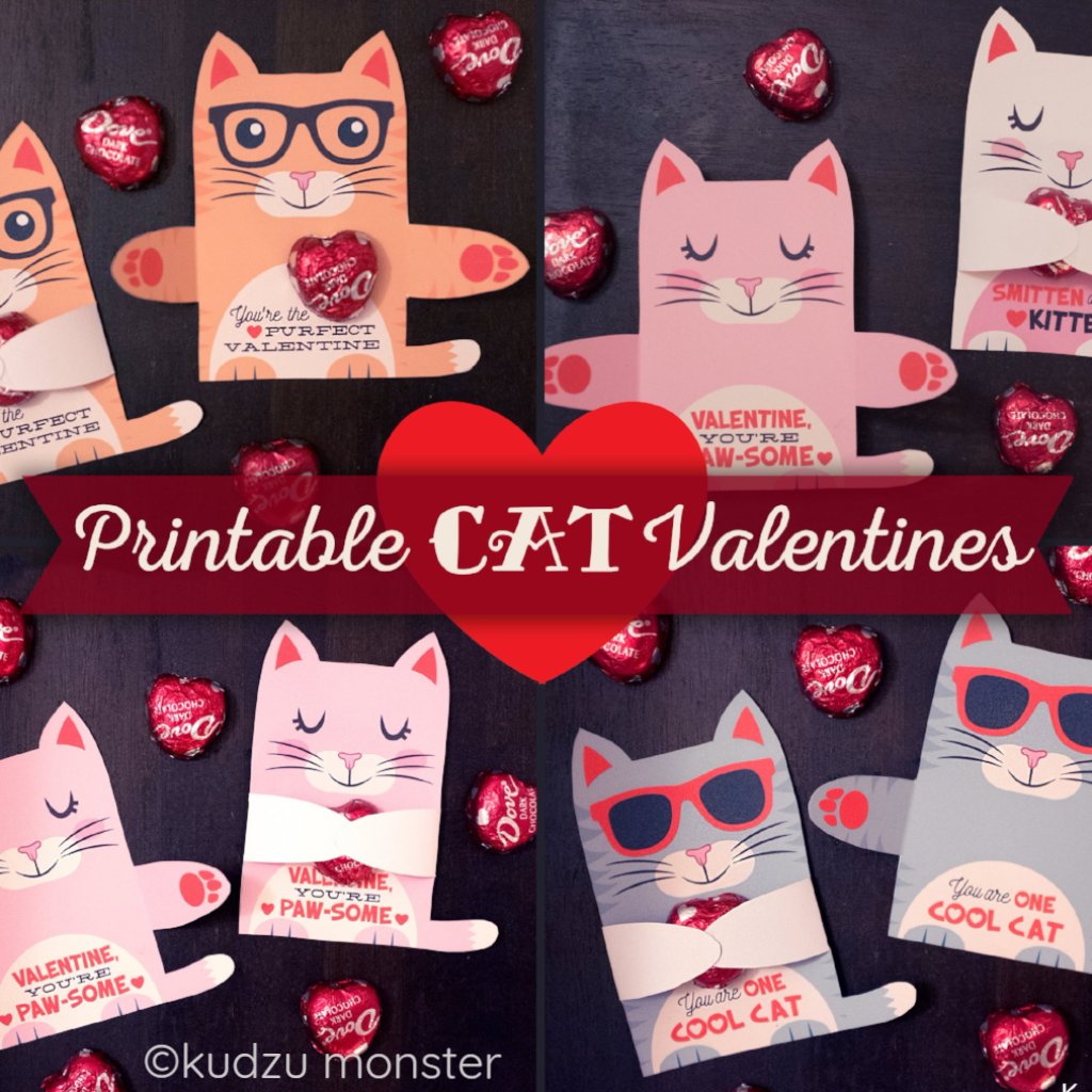 Cat Valentine Hugger Combo Pack of 4