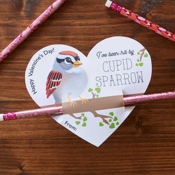 Sparrow Birding Valentine Cards