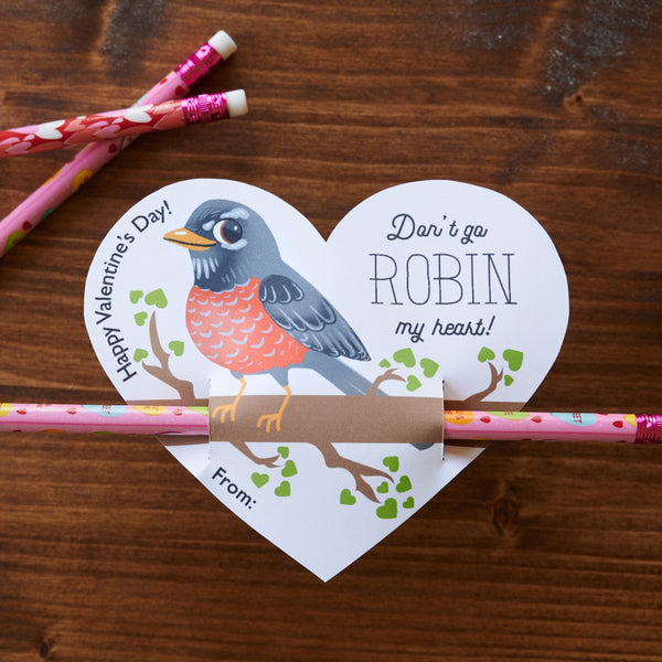 Robin Birding Valentine Cards