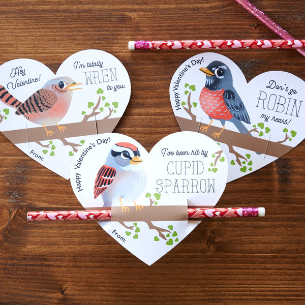 Birding Valentine Cards Variety Pack