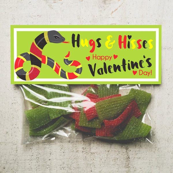 INSTANT DOWNLOAD Hugs and Hisses striped Coral Snake valentine treat topper printable DIY file classroom valentines candy bag boy valentine
