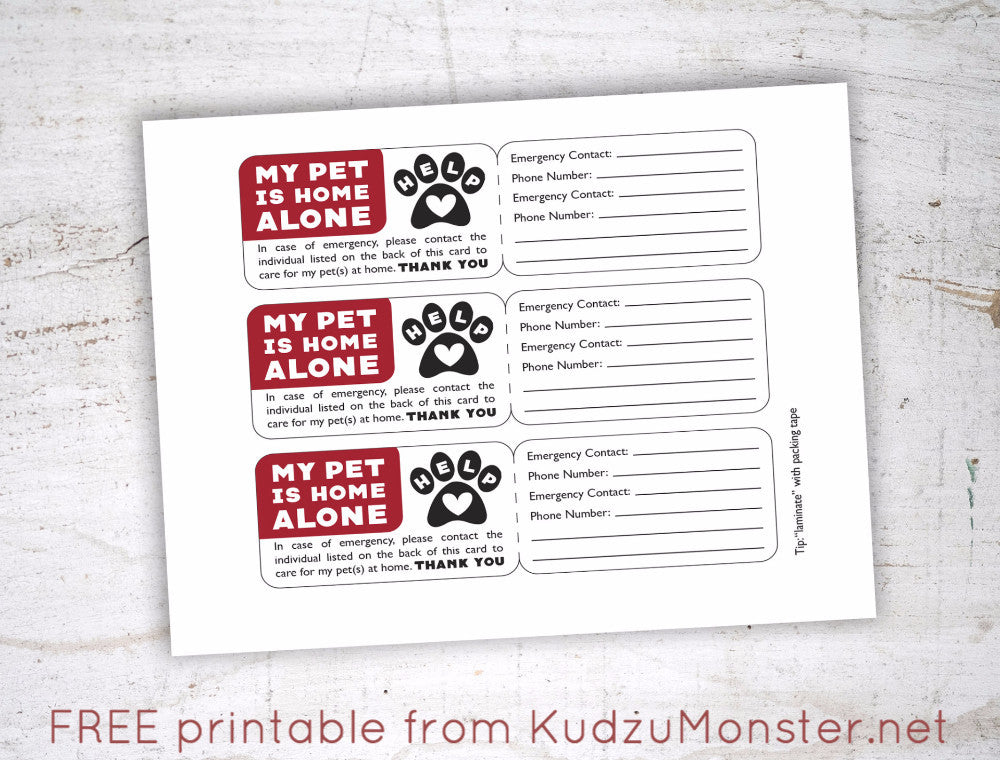 free-printable-pet-emergency-contact-card-kudzu-monster for Free Printable In Case Of Emergency Card FREE Printable Pet Emergency Contact Card – Kudzu Monster for Free Printable In Case Of Emergency Card